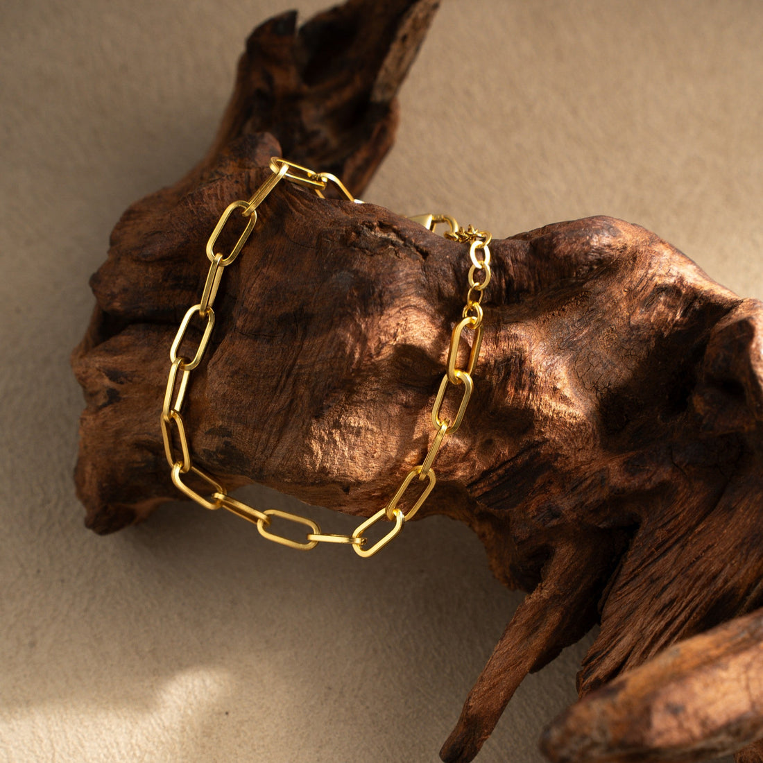 Echo of Time Chain Bracelet